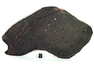 Метеорит Beaver