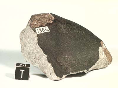 Метеорит Бушхоф