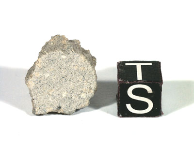 Метеорит EETA 79001