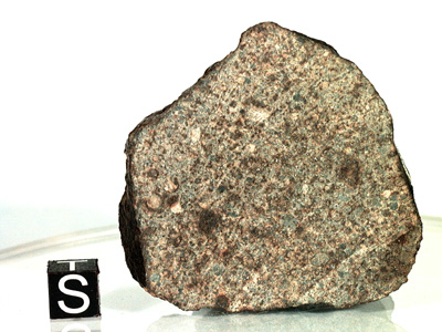 Метеорит Hammadah al Hamra 163