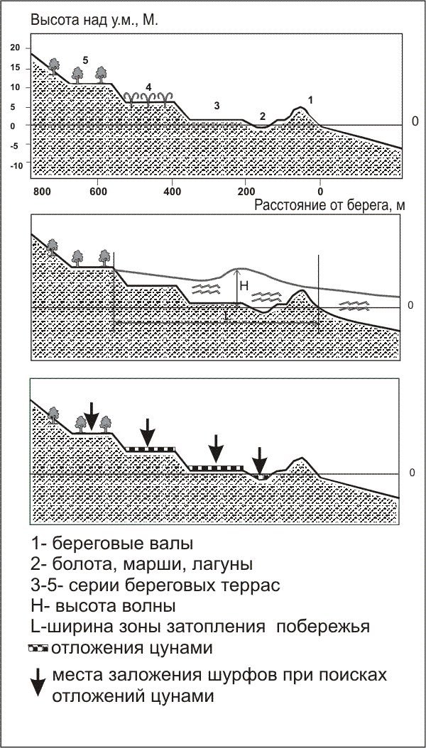 Статья: Цунами на тихоокеанском побережье Камчатки за последние 7000 лет: диагностика, датировка, частота