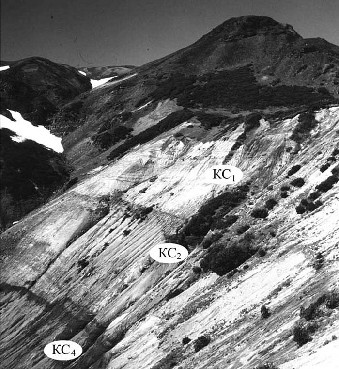 Статья: Новейшие гигантские эксплозивно-обвальные лавины катастрофических извержений вулкана Шивелуч на Камчатке