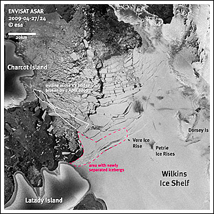 Антарктический ледник Уилкинса на грани гибели