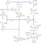 Химики преодолели главное препятствие на пути к абиогенному синтезу РНК