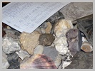 [Click to enlarge]